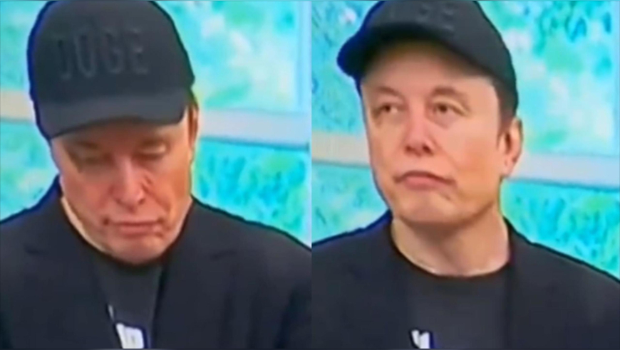 2025一码一肖100%精准,女童在游乐园玩耍头皮被撕裂,完美答案解释落实_探索版V15.33