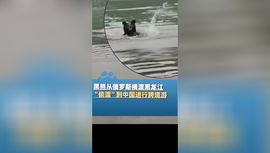 二四六旺角旺角赢彩吧,四川通江一售楼处塔吊倒塌多车被砸,展开计划实施_投资版V5.54