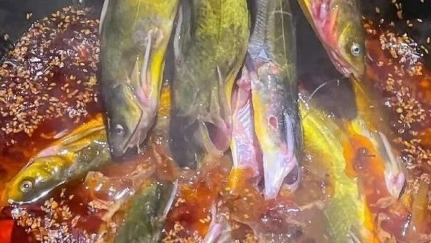 管家婆期期准免费资料,雪碧 檀健次,全面解答解释落实_社交版V14.93